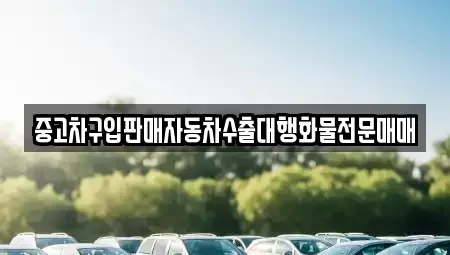 충청남도 아산시 선장면 중고차 전문 중고차구입판매자동차수출대행화물전문매매
