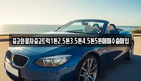 충청남도 아산시 선장면 중고차 전문 중고화물차중고트럭1톤2.5톤3.5톤4.5톤5톤매매수출매입