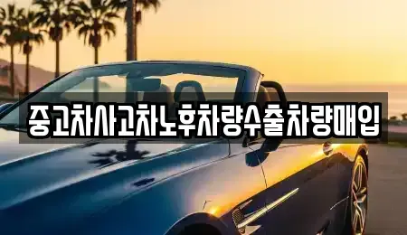 충청남도 태안군 안면읍 장기렌트카,중고차,렌트카,단기렌트카,중고차매입,중고차매매