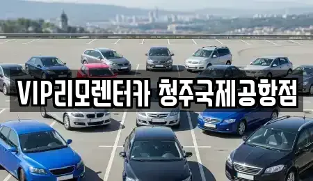 충청북도 청주시 청원구 외하동 렌트카 전문 VIP리모렌터카 청주국제공항점