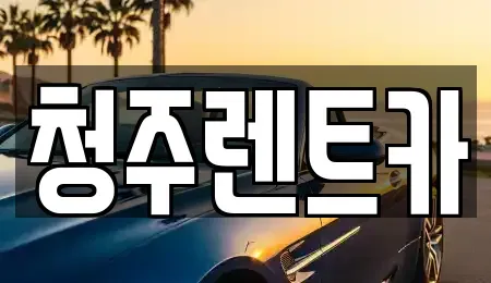 충청북도 청주시 청원구 율량동 렌트카 전문 청주렌트카