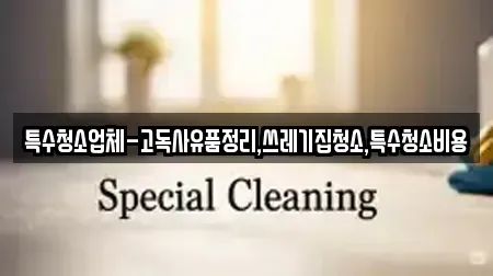 특수청소업체-고독사유품정리,쓰레기집청소,특수청소비용
