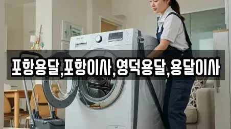 포항시 북구 항구동 용달이사 상세정보 5